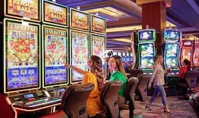 3333 bet app