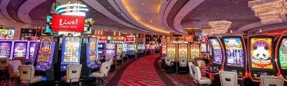 3333 bet app